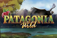 patagonia-wild